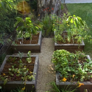 Image for FIVE QUESTIONS ON FRIDAY WITH PORTLAND EDIBLE GARDENS, SPRING EDITION
