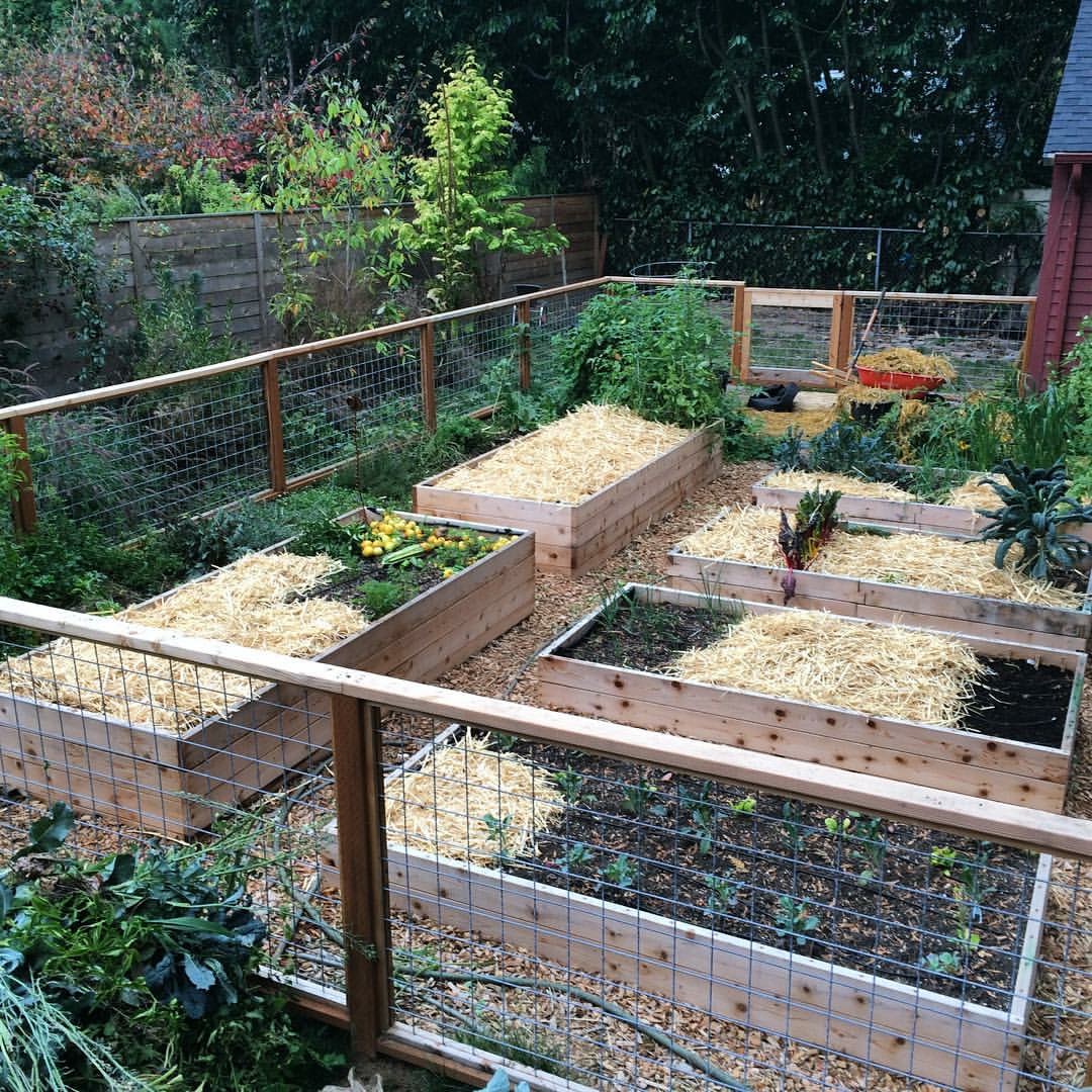 FIVE QUESTIONS ON FRIDAY WITH PORTLAND EDIBLE GARDENS, SPRING EDITION