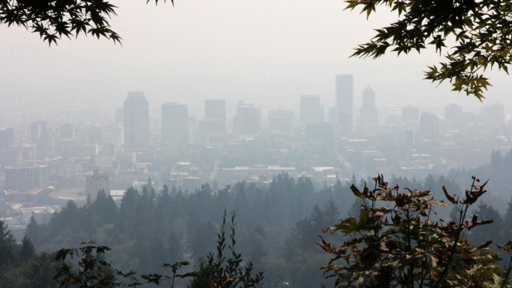 Image for Portland Air Quality: How Do I Clean My Indoor Air?
