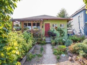 House garden in front