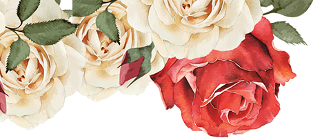 Floral rose graphic accent for Portland branding and Pacific Northwest lifestyle design