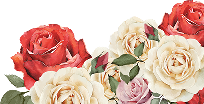 Floral rose illustration accenting Portland branding and Pacific Northwest lifestyle imagery