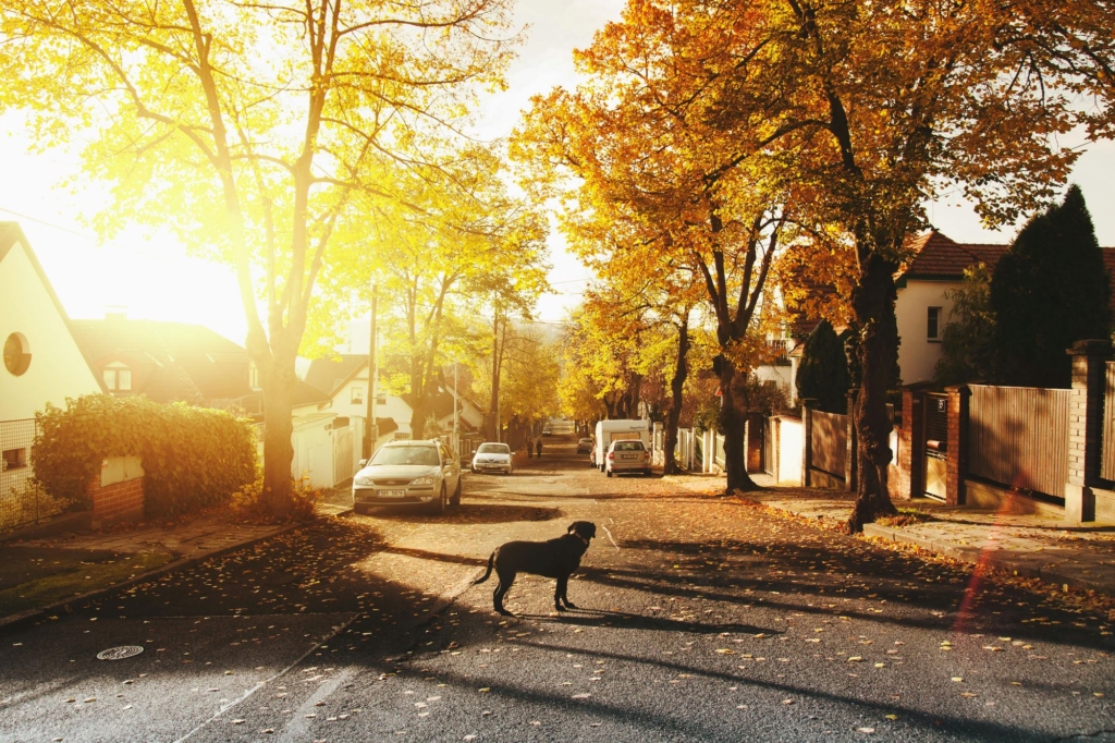 Image for Fall Home Maintenance Checklist