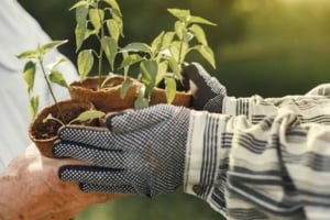 Image for Spring Home Maintenance and Gardening Guide