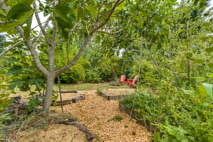Lush residential garden with raised beds, shaded seating area, and vibrant greenery ideal for Portland homebuyers seeking outdoor living.