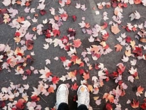 Colorful autumn leaves scattered on a sidewalk, showcasing the charm of seasonal outdoor living in Portland's real estate.