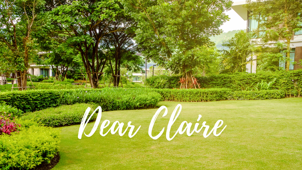 Image for Dear Claire: What is “Curb Appeal”?