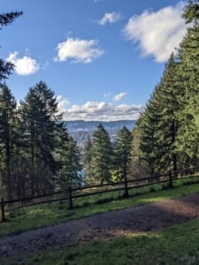 Scenic view of lush greenery and mountains near Portland, ideal for outdoor enthusiasts seeking residential property.