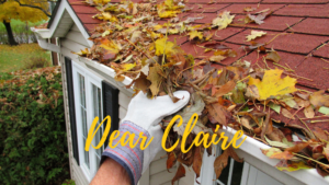 Image for Dear Claire: What are Some Fall Maintenance Tips?