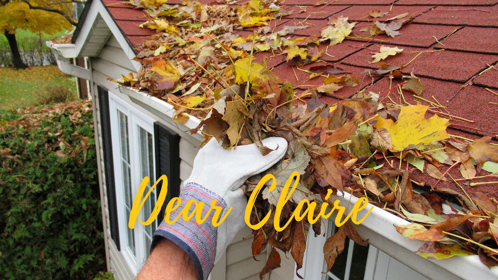 Image for Dear Claire: What are Some Fall Maintenance Tips?